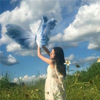 爱情鸟的自救